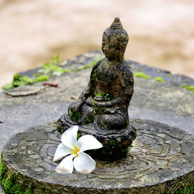corso meditazione padova
