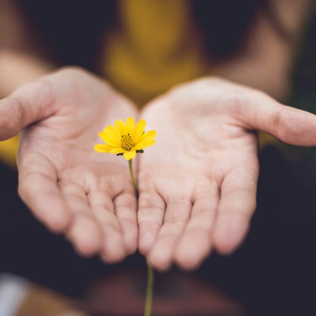 corso meditazione padova